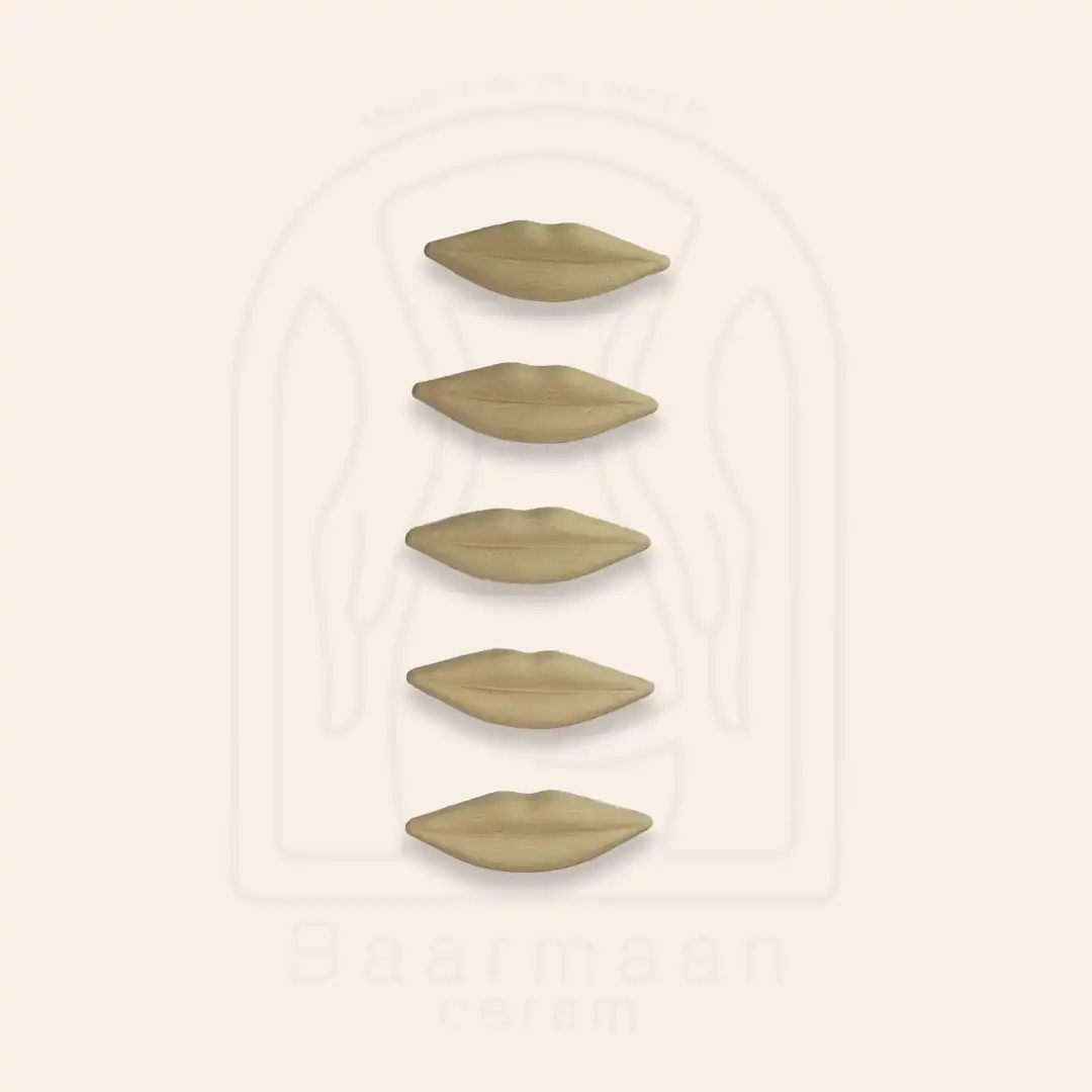 قالب لب بزرگ پل مل