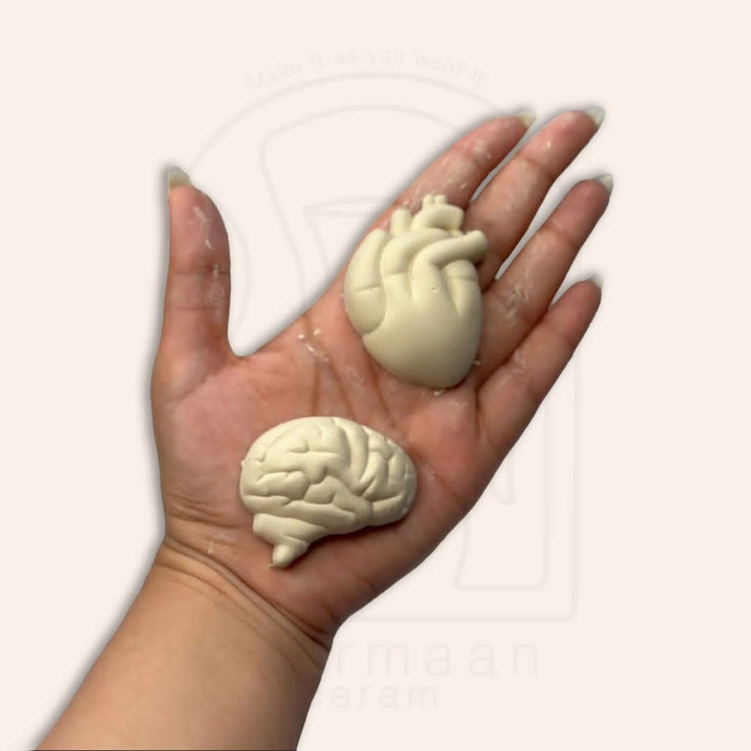 قالب اعضای بدن پل مل
